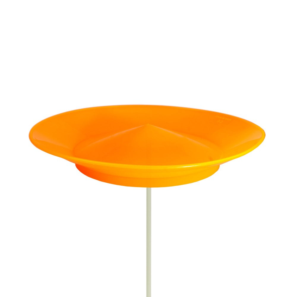 Play Soft Spinning Plate and Stick